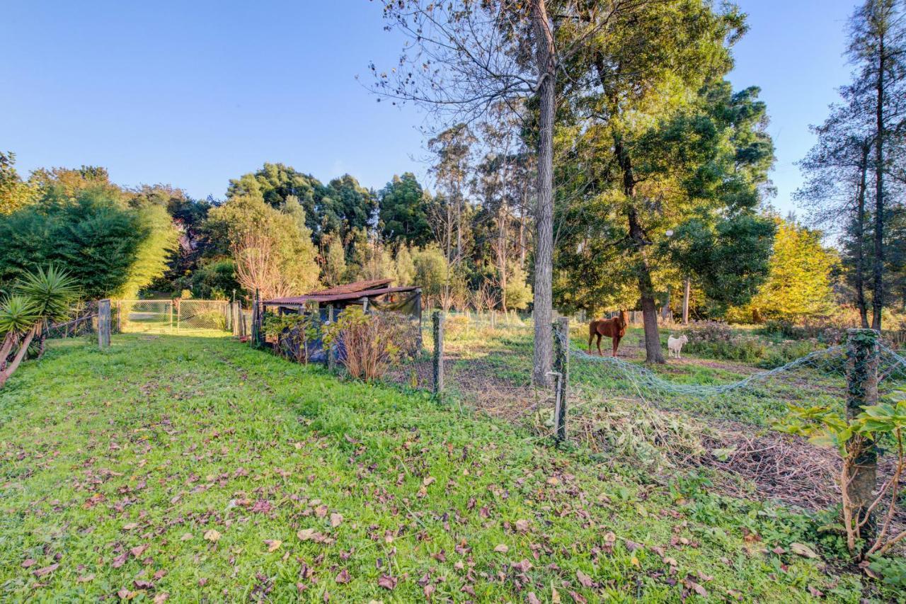 Casa Do Moinho Rural Campo E Praia , 9 Pessoas, Animais Benvindos Espinho  Exterior photo