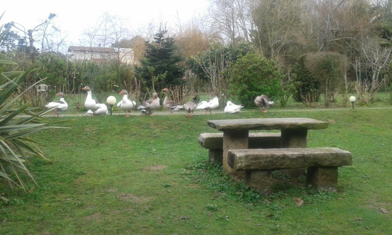 Casa Do Moinho Rural Campo E Praia , 9 Pessoas, Animais Benvindos Espinho  Exterior photo